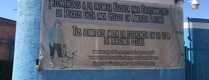 Escuela Entrenamiento Perros Guias para Ciegos IAP is one of Vanessa'nın Beğendiği Mekanlar.