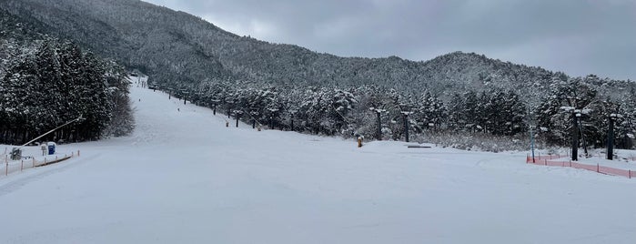 スノーリゾート猫山 is one of 中国地方のスキー場.