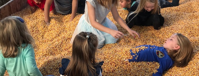 Cobble Creek Farm is one of Nostalgia NY.