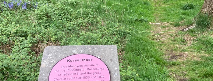 Kersal Moor is one of Personal Happiness.