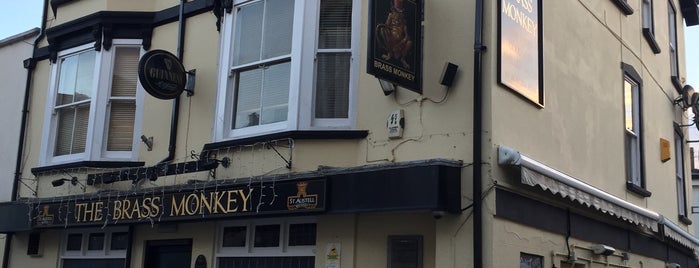 Brass Monkey is one of Old Devon Pubs.