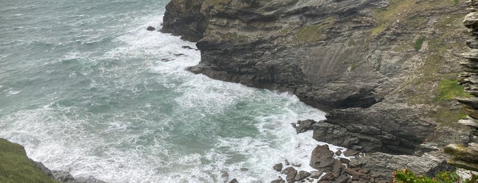 Tintagel Castle is one of Bilgeさんのお気に入りスポット.