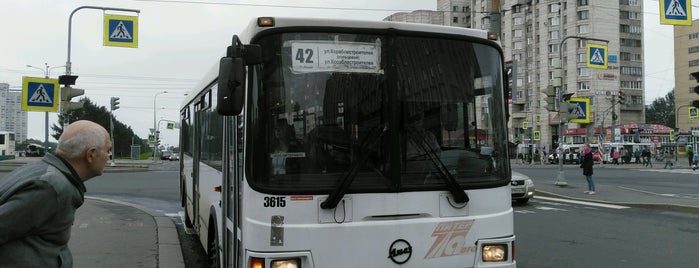 Автобус № 42 is one of Автобусы Петербурга (1–99).