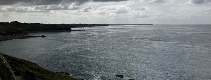 Pointe du Grouin is one of Dinan.