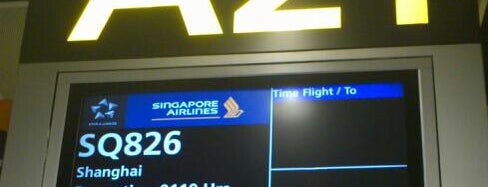 Gate A21 is one of SIN Airport Gates.