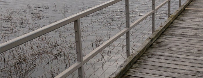 Brittlebank Park Fishing Dock is one of Common Places to Be.