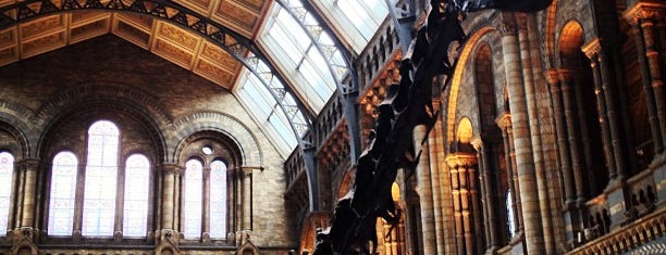 Natural History Museum is one of London Calling.