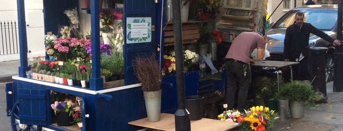 Marylebone Florist is one of Flower Shop London.