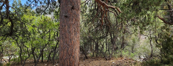 Fletcher Canyon Trail is one of Orte, die Mike gefallen.