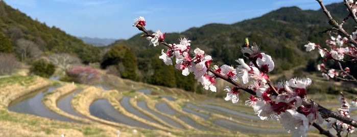 大山千枚田 is one of Sada: сохраненные места.