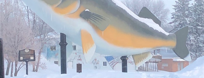 Willy The Walleye is one of David : понравившиеся места.