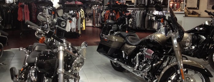 Harley Davidson is one of Bike.