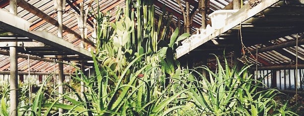 Ботанический сад is one of Tempat yang Disimpan Galina.