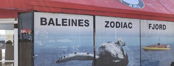 Amr Croisieres Baleines is one of สถานที่ที่ Nieko ถูกใจ.