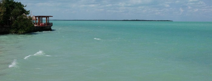 Bacalar