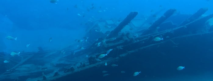 Submarine Safaris is one of Orte, die Maria gefallen.