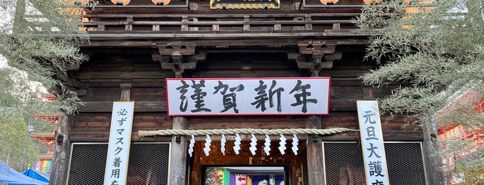 大日堂 (高幡山 総本堂) is one of 東京遠征 To-Do.