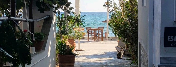 Blue Sea Hotel Thassos Greece is one of สถานที่ที่ Betul ถูกใจ.