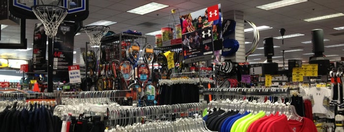 Big 5 Sporting Goods is one of NewPark Mall.