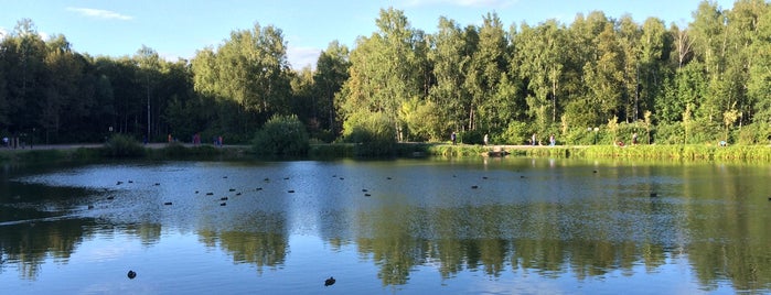 Пруд Лось is one of สถานที่ที่ Jano ถูกใจ.