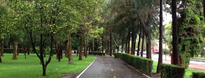 Parque Tangamanga is one of De tour por San Luis.
