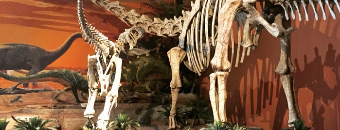 New Mexico Museum of Natural History & Science is one of ABQ To Do's.
