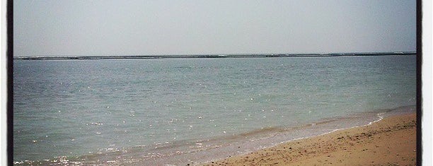 Playa Rota is one of Kimmieさんの保存済みスポット.