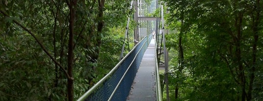TreeTop Walk is one of 100Attactions.