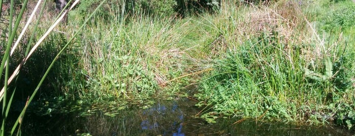 Canyon Trail Park is one of สถานที่ที่ G.D. ถูกใจ.