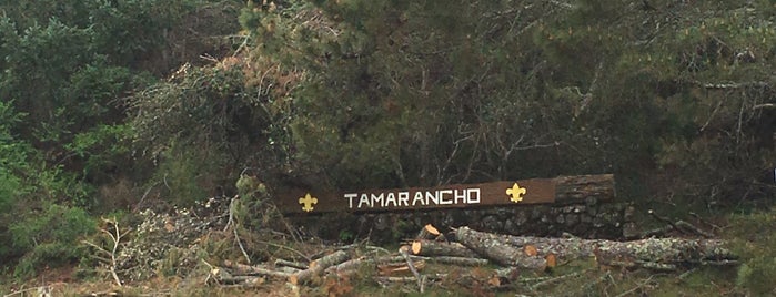 Camp Tamarancho Boy Scout Camp is one of Favorite places to mountain bike in and around SF.