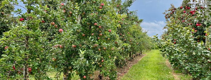 Branstool Orchards is one of Lugares favoritos de John.