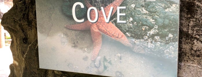 Steller Cove is one of TRAVEL OREGON.