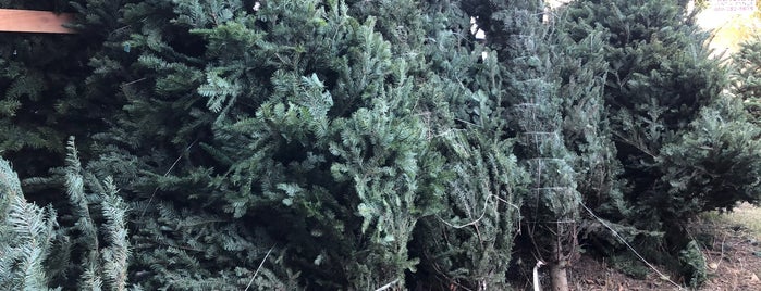 Delancey Street Christmas Trees is one of Tempat yang Disukai Derek.