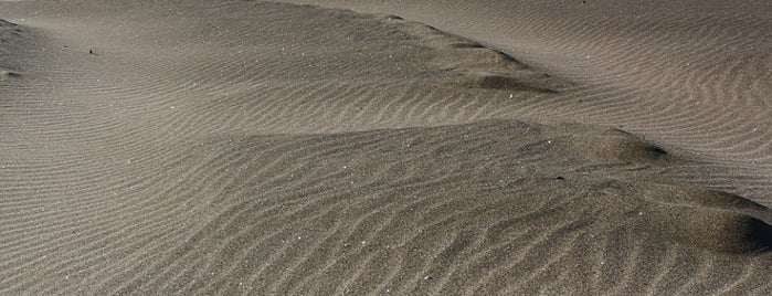 Spiaggia Fregene is one of Tempat yang Disukai Nataliia.