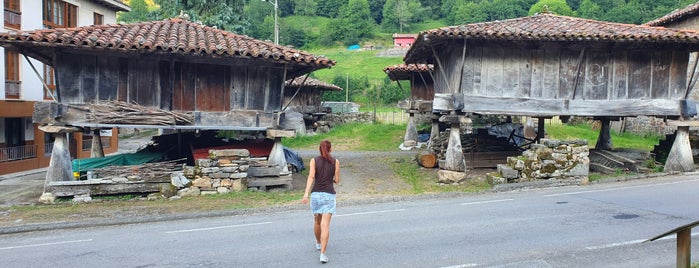 Espinaredo is one of Turismo.