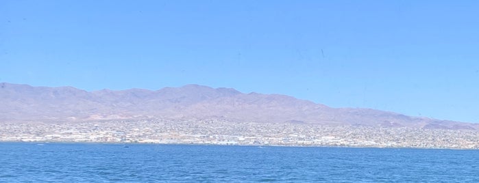 Havasu Landing Resort & Casino - Havasu Lake, CA is one of Tempat yang Disukai Cheearra.