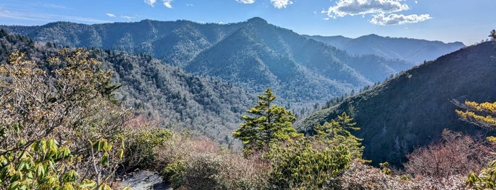 Mt. LeConte is one of Great Smoky Mountains.