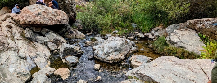 Los Peñasquitos Canyon Preserve (Sorrento Valley) is one of Tempat yang Disukai Alison.