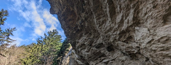 Alum Cave Trail is one of Anthony : понравившиеся места.