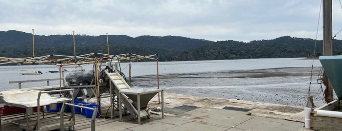 Tomales Bay Oyster Farm is one of North Bay.