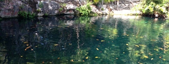 Cenote chac mool is one of México (Riviera Maya).