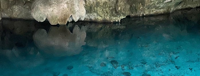 Cenote Dos Ojos is one of Karen : понравившиеся места.