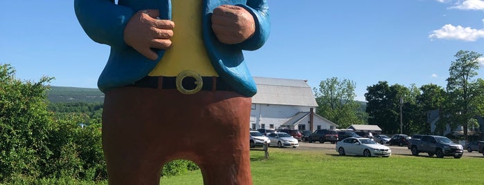 Largest Gnome In The World is one of Upstate.