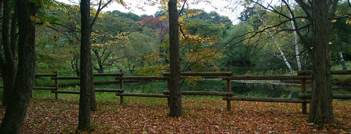 小鹿公園 is one of Park in Morioka.