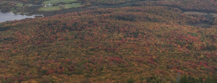 Elmore State Park Fire Tower is one of St Albans to Ashfield.