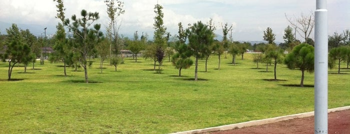 Parque Bicentenario is one of Sel’s Liked Places.