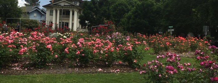 North Ladd Rose Garden is one of to do in Portland.