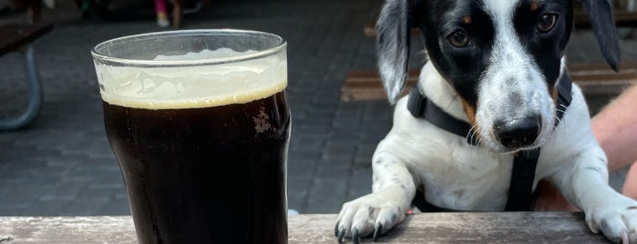 Lucky Labrador Beer Hall is one of Oregon Brewpubs.