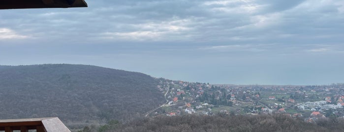Somlyó-hegyi kilátó is one of Hungariqm.