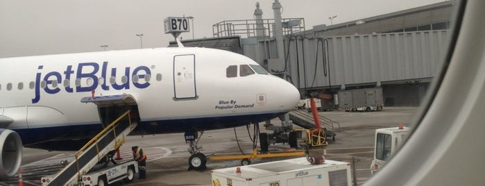 jetBlue Airways - Flight B6 1304 (IAD > JFK) is one of Frequent Flyer.